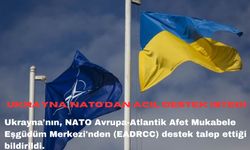 Ukrayna, NATO'dan acil destek istedi