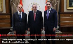 Erdoğan,Hidrokarbon Ajansı Başkanı Descalzi'yi kabul etti