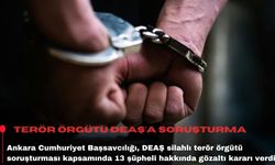Terör örgütü DEAŞ'a soruşturma