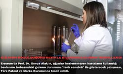 Gıdanın bozulduğunu renkle bildiren çalışma tescillendi