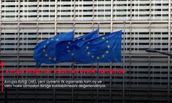 Avrupa Birliği'nde "kademeli üyelik" tartışması