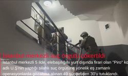 İstanbul merkezli suç örgütü çökertildi