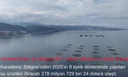 Karadeniz'den 31 ülkeye 278,7 milyon dolarlık su ürünü ihracatı