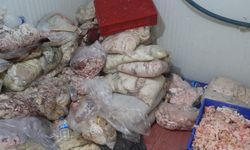 Ankara'da 3 iş yerinde 17 ton bozuk et ele geçirildi