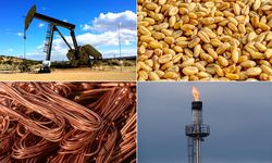 Emtia piyasasını değerli metaller sırtladı