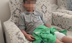 Okul yolunda başıboş köpeğin saldırısına uğradı