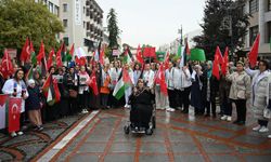 81 ilde 'Gazze İçin Sessiz Çığlık' etkinliği düzenlendi