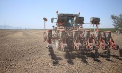 TİGEM 14 aylığına bitkisel üretim ve hayvancılık işçiliği hizmeti alacak