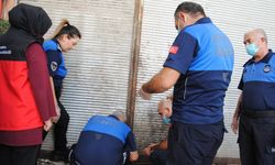 Şanlıurfa'da 1 ton bozuk et ele geçirildi