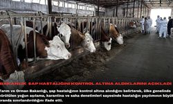 Bakanlık  şap hastalığını kontrol altına aldıklarını açıkladı