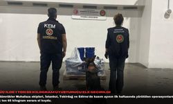 Üç ilde 1 ton 65 kilogram uyuşturucu ele geçirildi