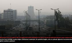 İran'da hava kirliliği ve grip salgını nedeniyle 18 eyalette eğitim uzaktan yapılıyor