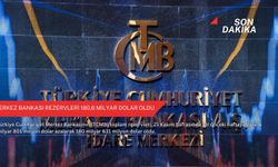 Merkez Bankası rezervleri 180,6 milyar dolar oldu