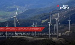 Elektrik santrallerine 1,4 milyar liralık kapasite desteği