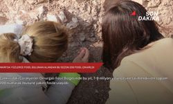 Çankırı'da yüzlerce fosil bulunan alandan bu sezon 200 fosil çıkarıldı