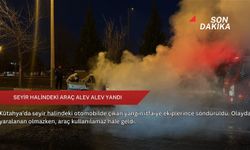 Seyir halindeki araç alev alev yandı