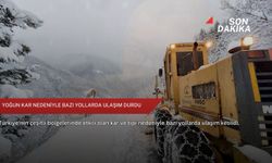 Yoğun kar nedeniyle bazı yollarda ulaşım durdu