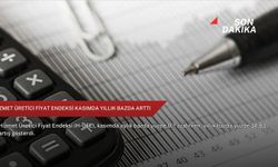 Hizmet Üretici Fiyat Endeksi kasımda yıllık bazda arttı