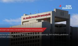 Vergi Denetleme Kurulu 250 müfettiş yardımcısı istihdam edecek