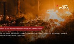 AB ormanları 2025'teki yangınlarda kayıtlardaki en büyük kaybı yaşadı