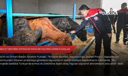 Kırmızı et üretimini artıracak proje meyvelerini vermeye başladı