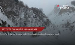 Artvin'de çığ: Mahsur kalanlar var