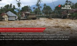 Yağışların yol açtığı afetler, orangutan popülasyonunu olumsuz etkiledi