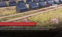 Sydney'de Müslüman mezarlığına domuz kafaları bırakıldı