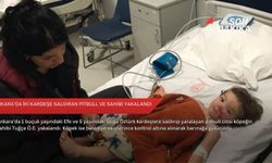 Ankara'da iki kardeşe saldıran pitbull ve sahibi yakalandı