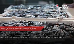 Balıkçıların yüzünü hamsi güldürdü