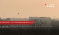 İran'da hava kirliliği yılda 50 bin kişinin ölümüne neden oluyor