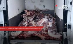 Kırşehir'de 6,1 ton kaçak ve bozulmuş hayvansal ürün ele geçirildi