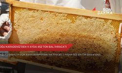 Doğu Karadeniz’den 11 ayda 452 ton bal ihracatı