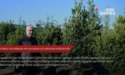 İstanbul'un ormanları havadan ve karadan korunuyor