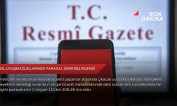 Hal uyuşmazlıklarında parasal sınır belirlendi