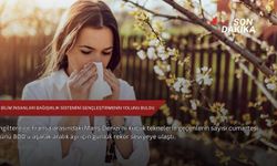 MIT bilim insanları bağışıklık sistemini gençleştirmenin yolunu buldu