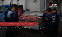 Mersin'de kamyonette 500 kilogram bozuk et ele geçirildi