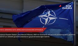 İspanya: Gerekirse NATO, Grönland'ın güvenliğini artırabilir