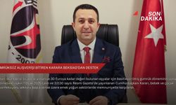Gümrüksüz alışverişi bitiren karara BEKSİAD’dan destek