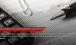 Serbest muhasebeci mali müşavirlerin çalışma usulleri yeniden düzenlendi