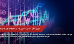Merkez Bankası rezervleri yükseldi