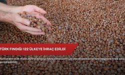 Türk fındığı 122 ülkeye ihraç edildi