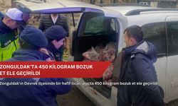 Zonguldak'ta 450 kilogram bozuk et ele geçirildi