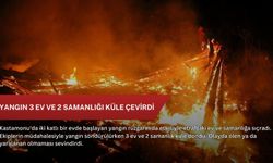 Yangın 3 ev ve 2 samanlığı küle çevirdi