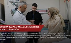 Doğuda buz alarmı: Acil servislerde 'kırık' yoğunluğu