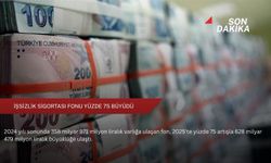 İşsizlik Sigortası Fonu yüzde 75 büyüdü