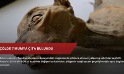 Çölde 7 mumya çita bulundu