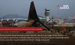 179 kişinin öldüğü Jeju Air faciasında yolcuların kurtulma ihtimali olabilirmiş
