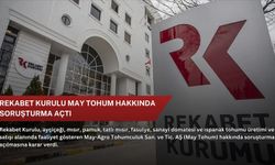 Rekabet Kurulu May Tohum hakkında soruşturma açtı