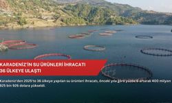 Karadeniz’in su ürünleri ihracatı 36 ülkeye ulaştı